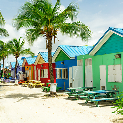 vol saint domingue punta cana vol saint domingue punta cana